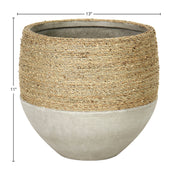 Nature Mixed Grass and Concrete Pot